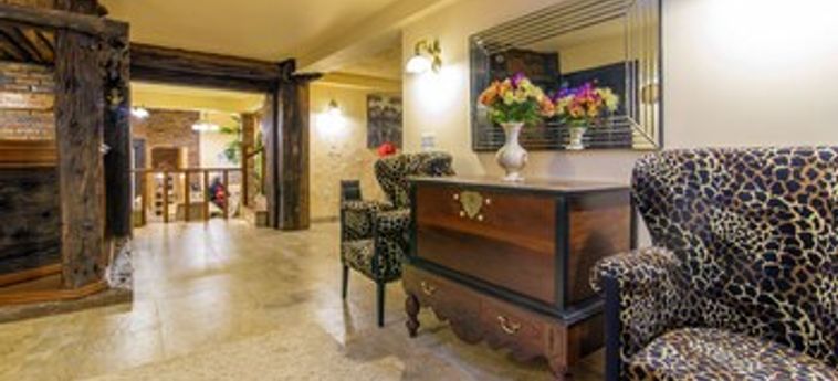 Hotel The Forest And Lake By Schofieldshire Nuwara Eliya: Foto 