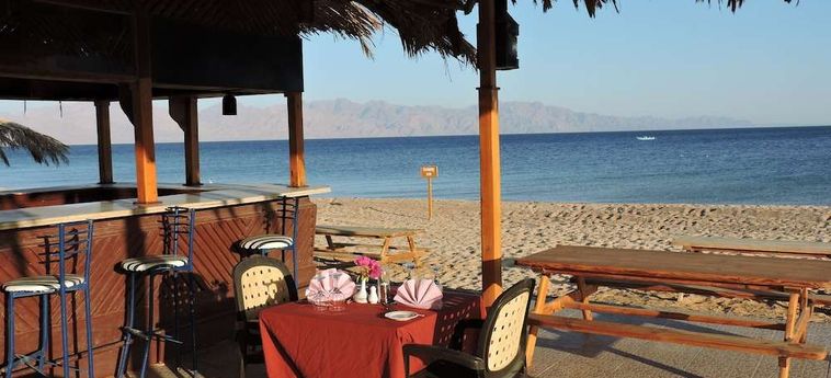 Hotel Time Coral Nuweiba Resort Nuweiba : Photo 
