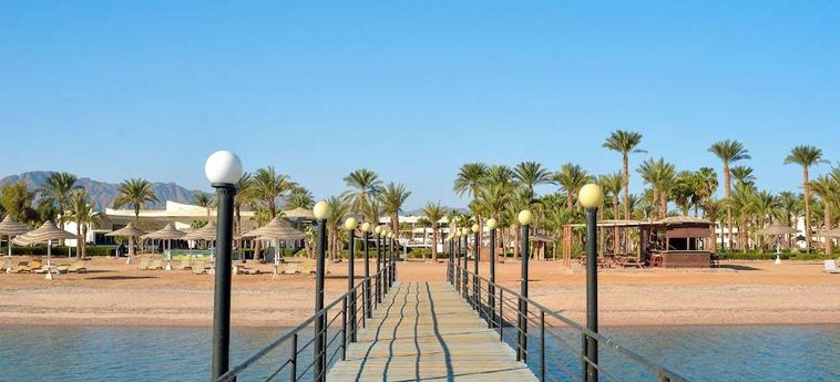 Hotel Time Coral Nuweiba Resort Nuweiba : Photo 
