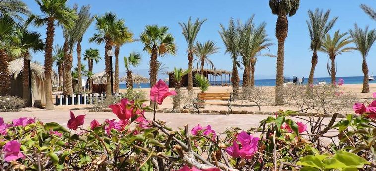Hotel Time Coral Nuweiba Resort Nuweiba: Foto 