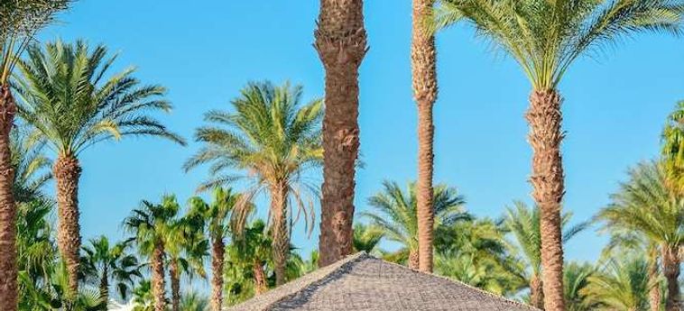 Hotel Time Coral Nuweiba Resort Nuweiba: Foto 