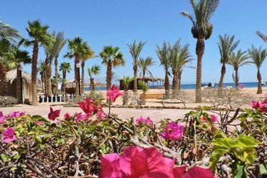 Hotel Time Coral Nuweiba Resort Nuweiba: Photo 
