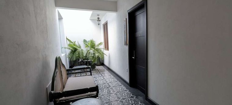 Hotel Boutique Naura Centro Oaxaca: Foto 