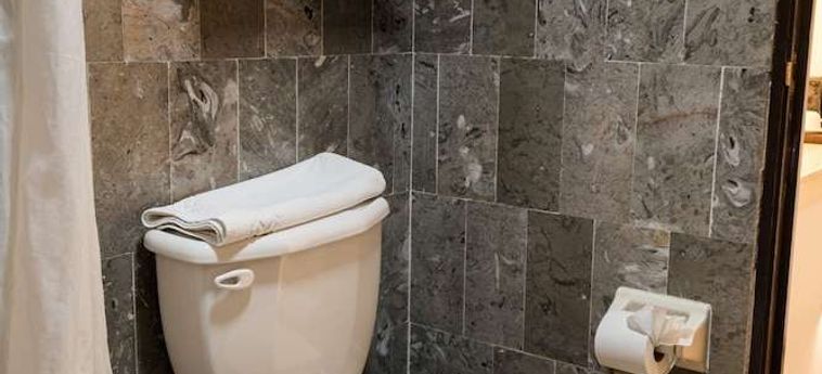 Hotel Boutique Naura Centro Oaxaca: Foto 