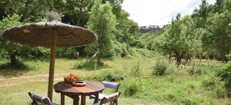 Hotel Serene Cottage In Sao Luis With Barbecue Odemira: Foto 