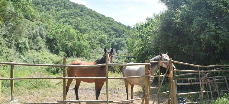Hotel Serene Cottage In Sao Luis With Barbecue Odemira: Photo 
