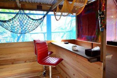 Backpackers Guesthouse Border Okinawa Islands - Okinawa Prefecture: Photo 