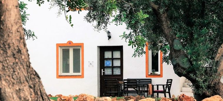 QUINTA DOS COCHICHOS – COUNTRY HOUSES 3 Sterne