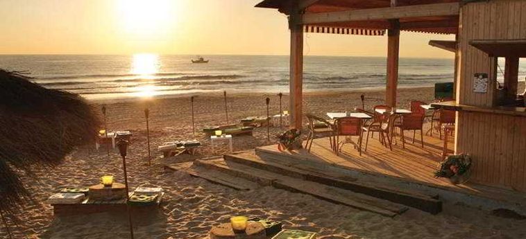 Hotel Oliva Nova Golf Beach & Golf Resort:  OLIVA