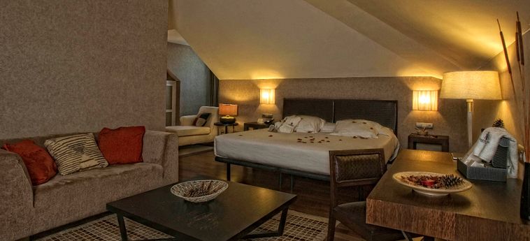 Hotel Castilla Termal Olmedo :  OLMEDO