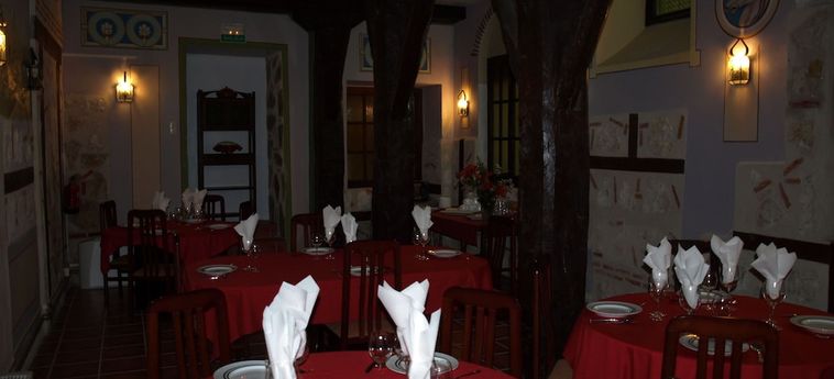 Hotel Gran Posada La Mesnada:  OLMEDO