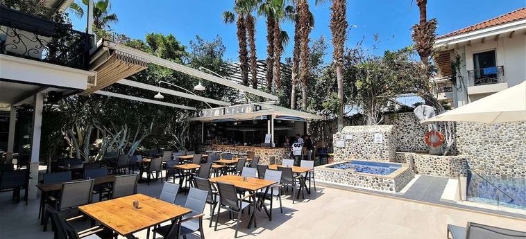Hotel Tonoz Beach Oludeniz : Photo 