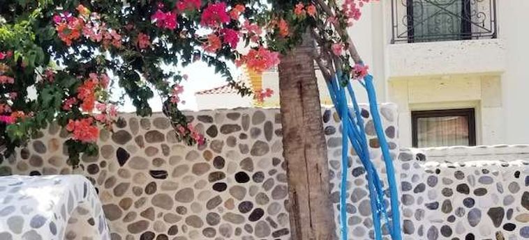 Hotel Tonoz Beach Oludeniz : Photo 