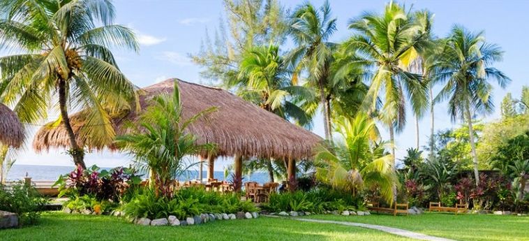 Paraiso Rainforest And Beach Hotel:  OMOA