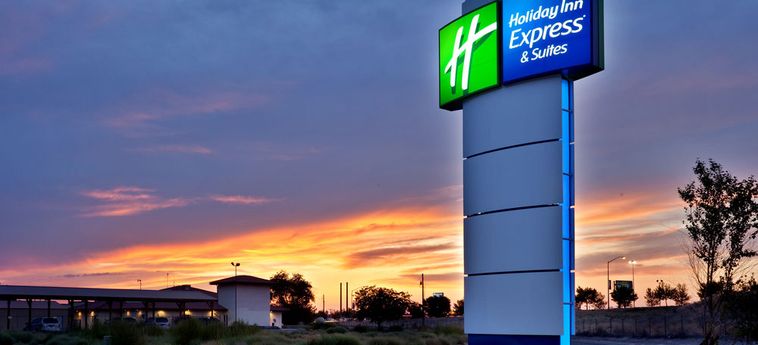 Hotel Holiday Inn Express & Suites Ontario:  ONTARIO (OR)