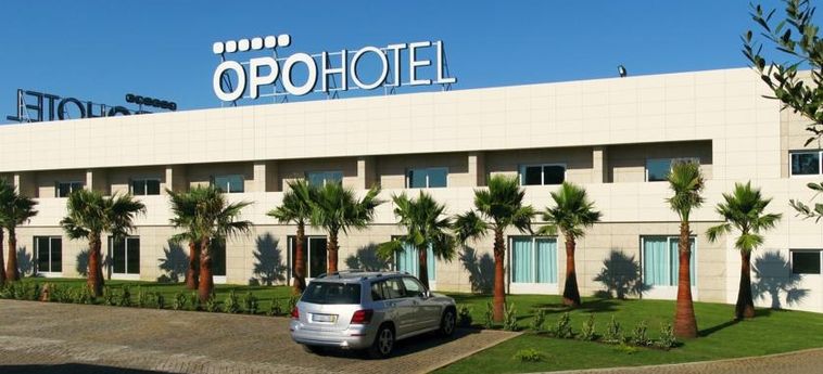 Opo Hotel Porto Aeroporto:  OPORTO