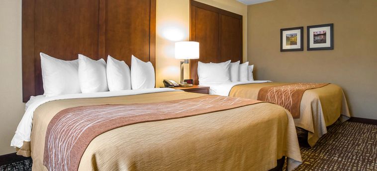 Hotel Comfort Inn & Suites:  OREM (UT)