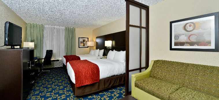Hotel Comfort Inn & Suites Universal - Convention Center:  ORLANDO (FL)