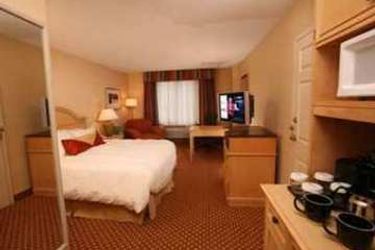 Hotel Hilton Garden Inn Orlando At Seaworld:  ORLANDO (FL)