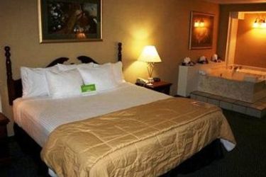 Hotel Comfort Inn & Suites Winter Park Village Area:  ORLANDO (FL)