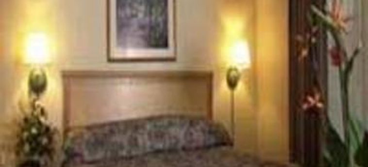 Hotel Comfort Suites Downtown:  ORLANDO (FL)