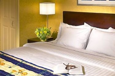 Hotel Springhill Suites Orlando Convention Center-International Drive Area:  ORLANDO (FL)