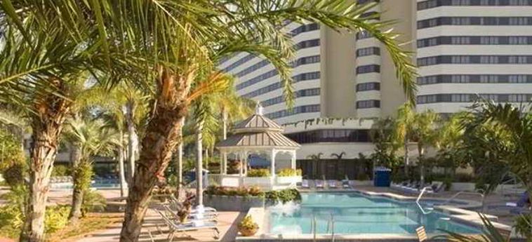 Hotel Hilton Orlando Lake Buena Vista:  ORLANDO (FL)