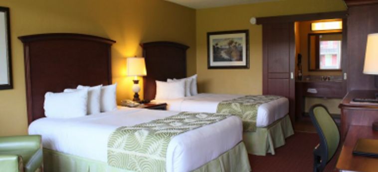 Hotel Rosen Inn International:  ORLANDO (FL)