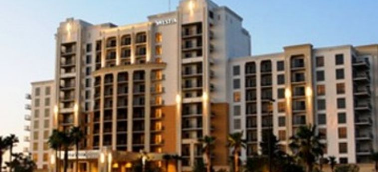 Hotel Las Palmeras By Hilton Grand Vacations:  ORLANDO (FL)