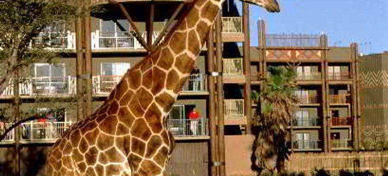 Hotel Disney's Animal Kingdom Lodge:  ORLANDO (FL)