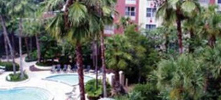 Hotel Four Points By Sheraton Orlando Convention Ctr:  ORLANDO (FL)