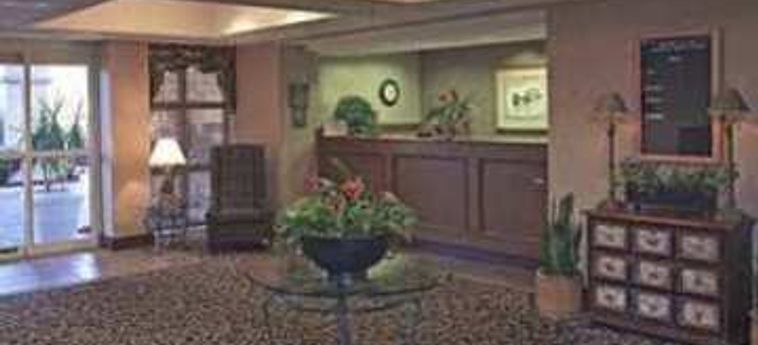 Hotel Homewood Suites By Hilton Orlando - International Drive/convention Center:  ORLANDO (FL)