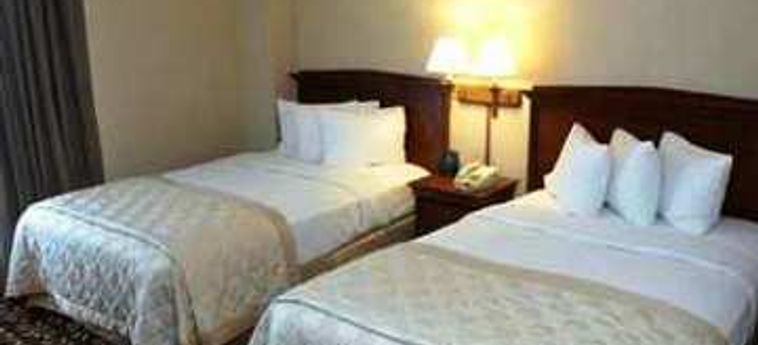 Hotel Embassy Suites By Hilton Orlando Airport:  ORLANDO (FL)