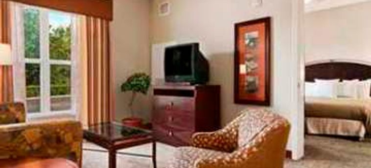 Hotel Homewood Suites By Hilton Orlando - Ucf Area:  ORLANDO (FL)
