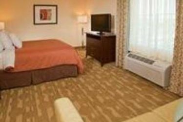 Hotel Homewood Suites By Hilton Lake Buena Vista - Orlando:  ORLANDO (FL)