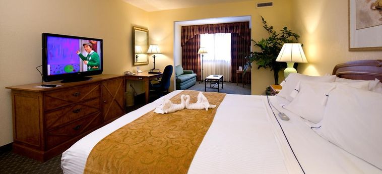 Hotel Holiday Inn Orlando International Dr-Icon:  ORLANDO (FL)