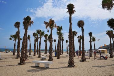 Hotel Bungalows Oasis Oropesa Del Mar: Photo 