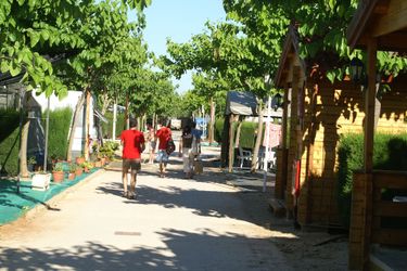 Hotel Bungalows Oasis Oropesa Del Mar: Photo 