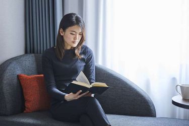 Hotel Rihga Place Higobashi Osaka - Osaka Prefecture: Photo 