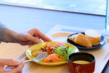 Hotel Rihga Place Higobashi Osaka - Osaka Prefecture: Photo 