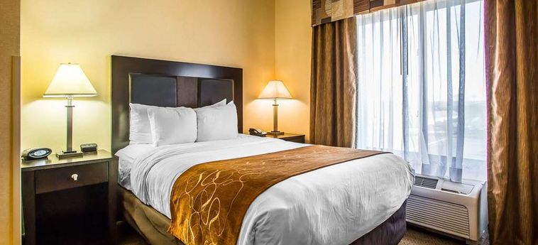 Hotel Comfort Suites Oshkosh (Wi): Foto 