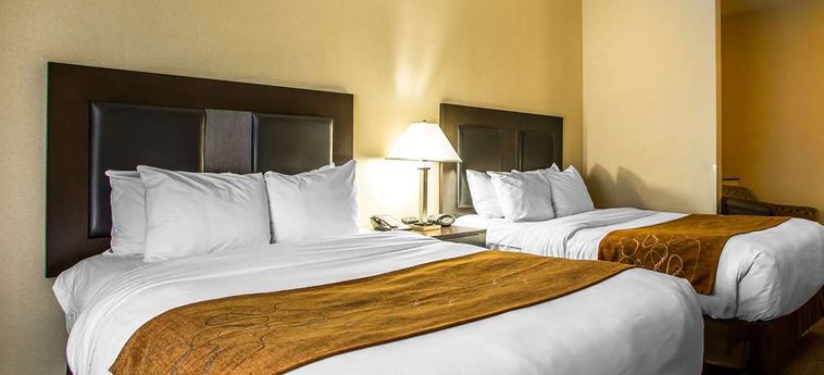 Hotel Comfort Suites Oshkosh (Wi): Foto 