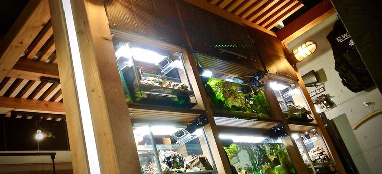Hotel Koke Musu Inn Otsu - Shiga Prefecture: Foto 