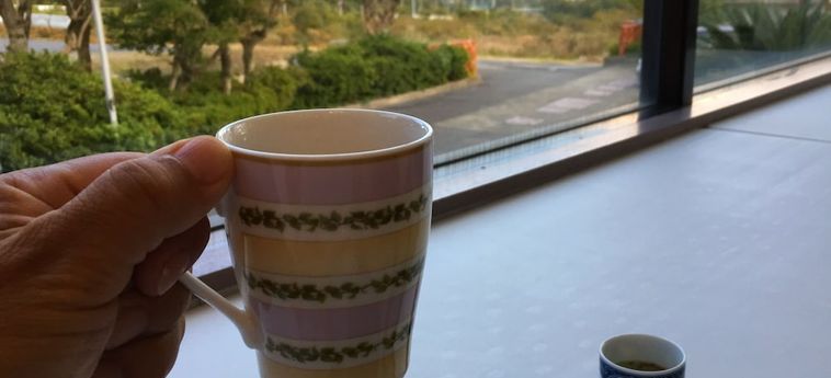 Biwako Hira Hotel Otsu - Shiga Prefecture: Foto 