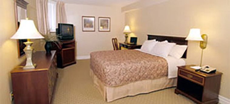 Hotel The Albert At Bay Suites:  OTTAWA