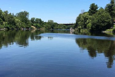Hotel Ramada By Wyndham Ottawa On The Rideau Ottawa: Photo 