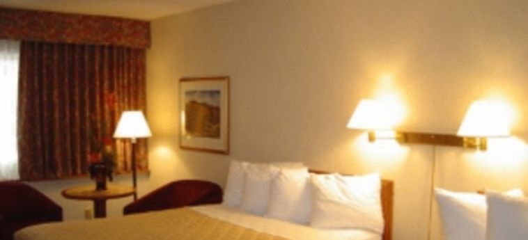 Clarion Hotel & Conference Centre:  OTTAWA