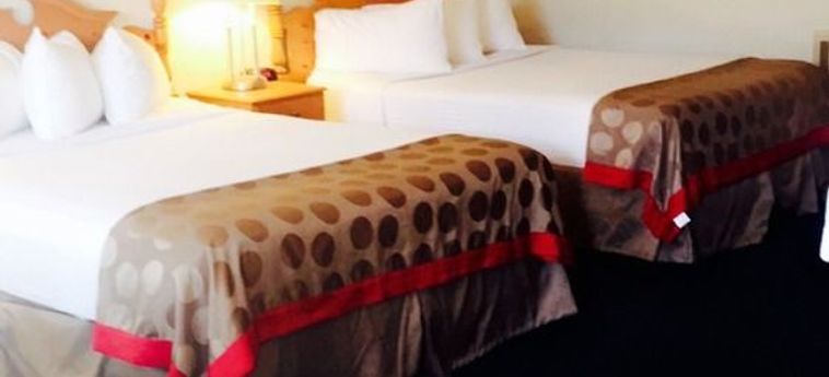 Hotel Comfort Inn Near Channel Islands:  OXNARD (CA)