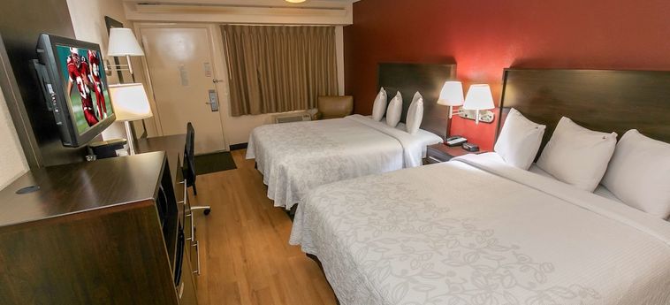 Hotel Red Roof Inn Plus+ Washington Dc - Oxon Hill:  OXON HILL (MD)