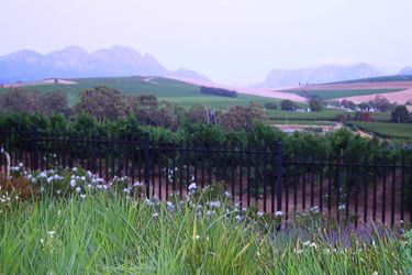 Alba House Guest House / Bed & Breakfast:  PAARL
